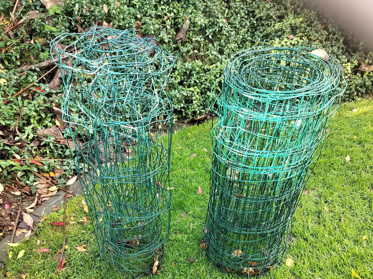 Billede 1 -  grønt hegn