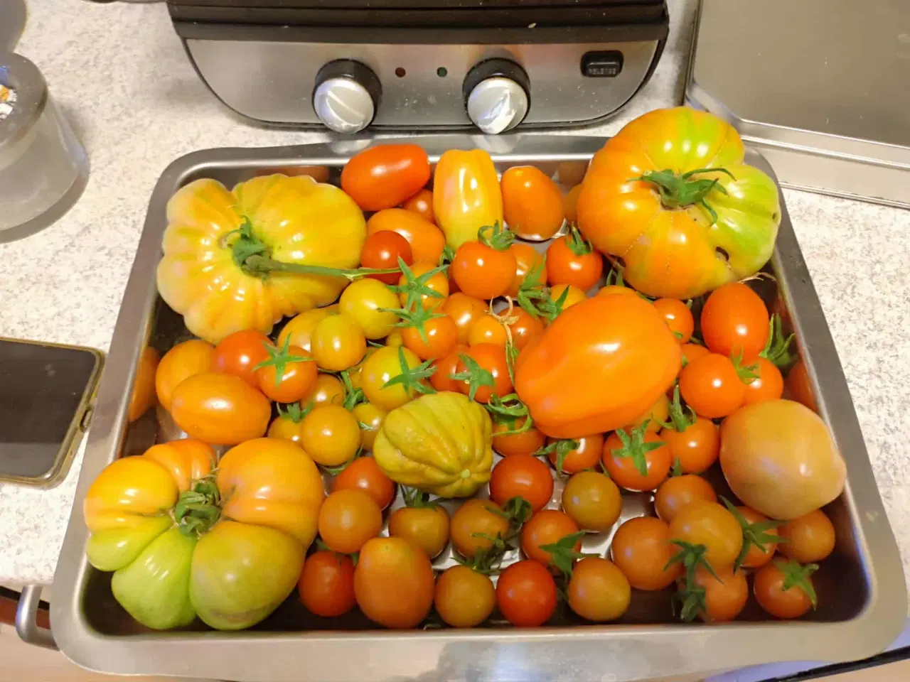 Billede 9 - Tomatplanter blandet sorter 