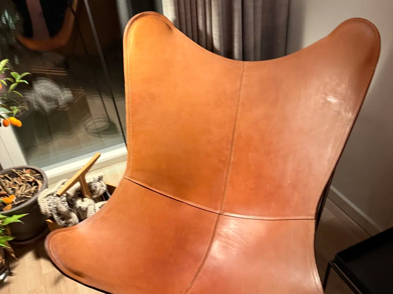 Billede 6 - Cuero Pampa Mariposa - Montana - Sort Stel