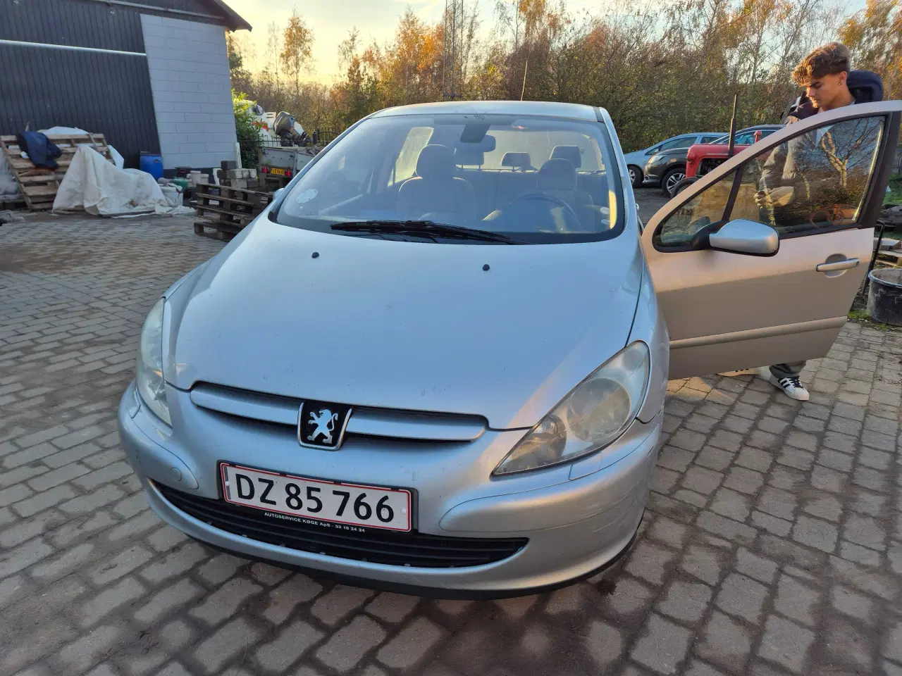 Billede 6 - Peugeot 307
