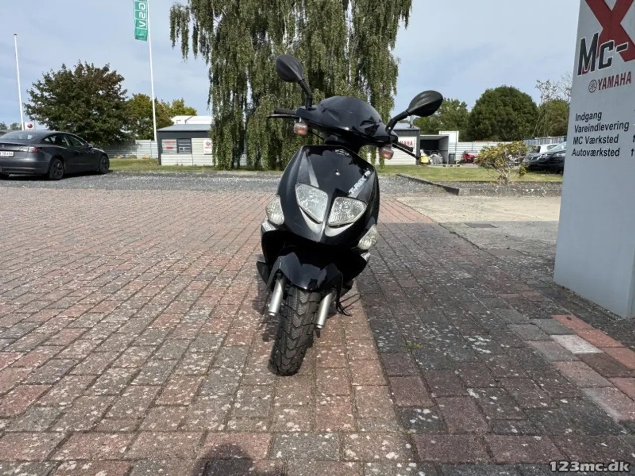 Billede 6 - PGO T-Rex 110