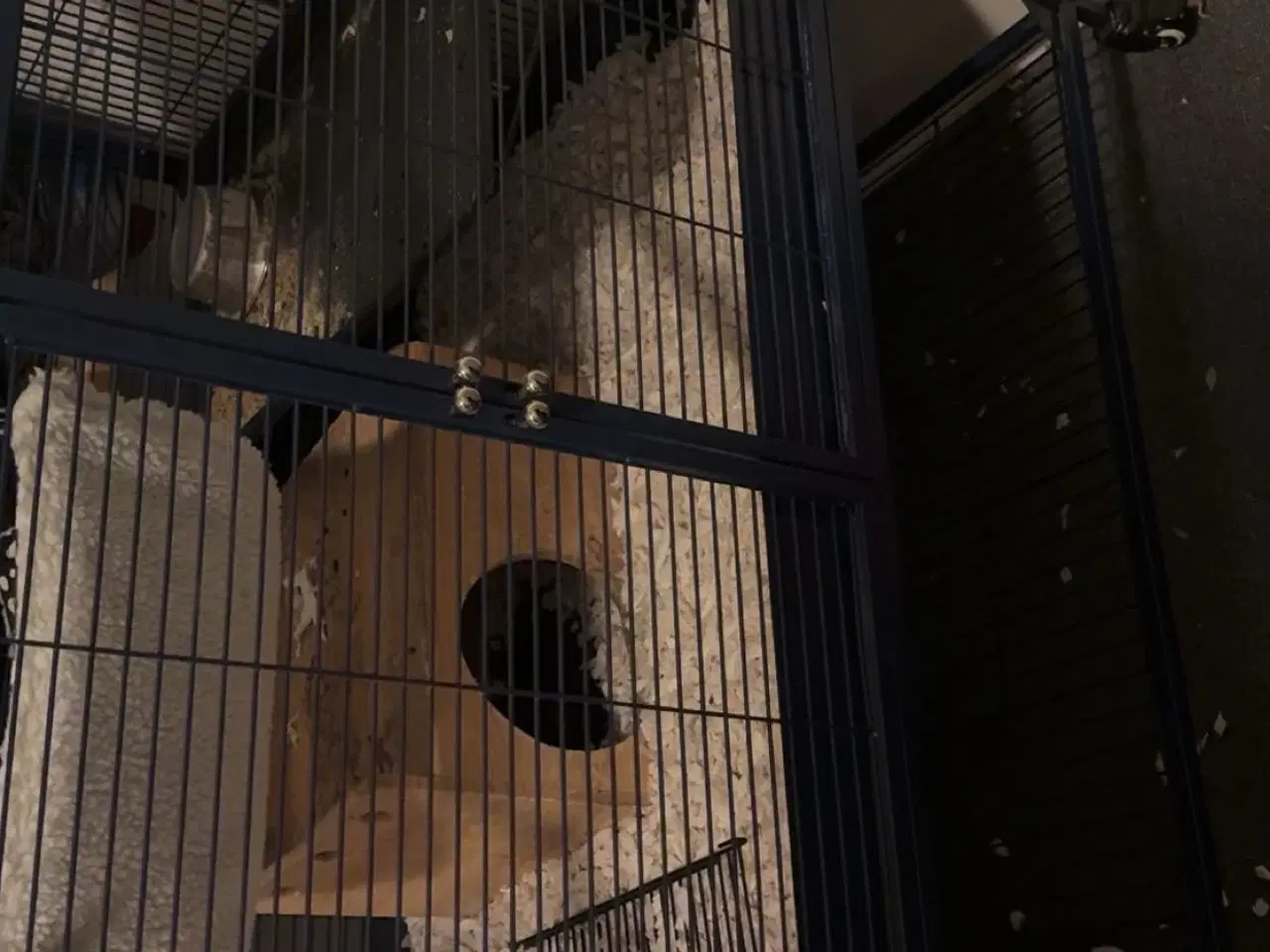 Billede 3 - Gnaverbur