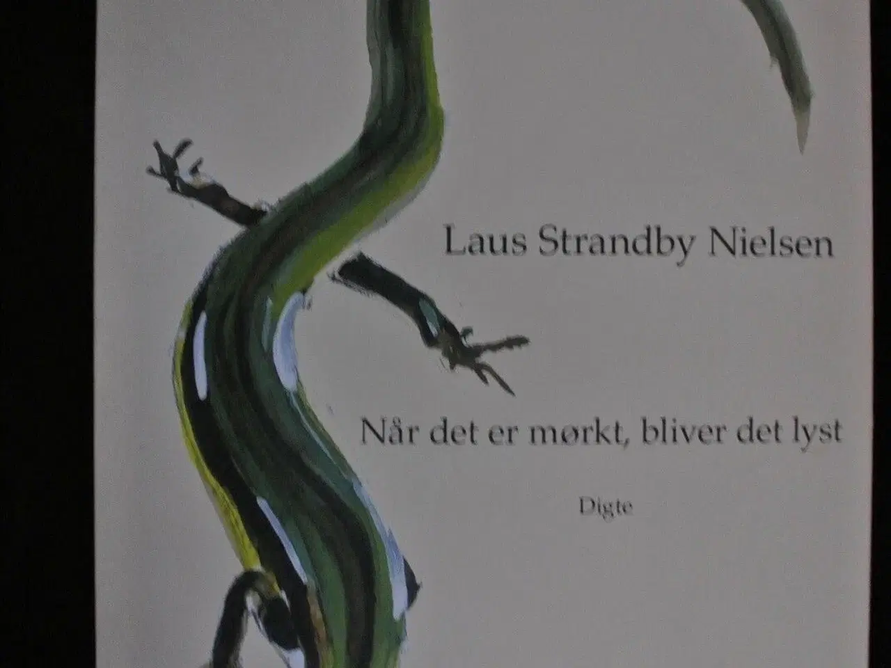 Billede 1 - når det er mørkt, bliver det lyst. , af laus stran