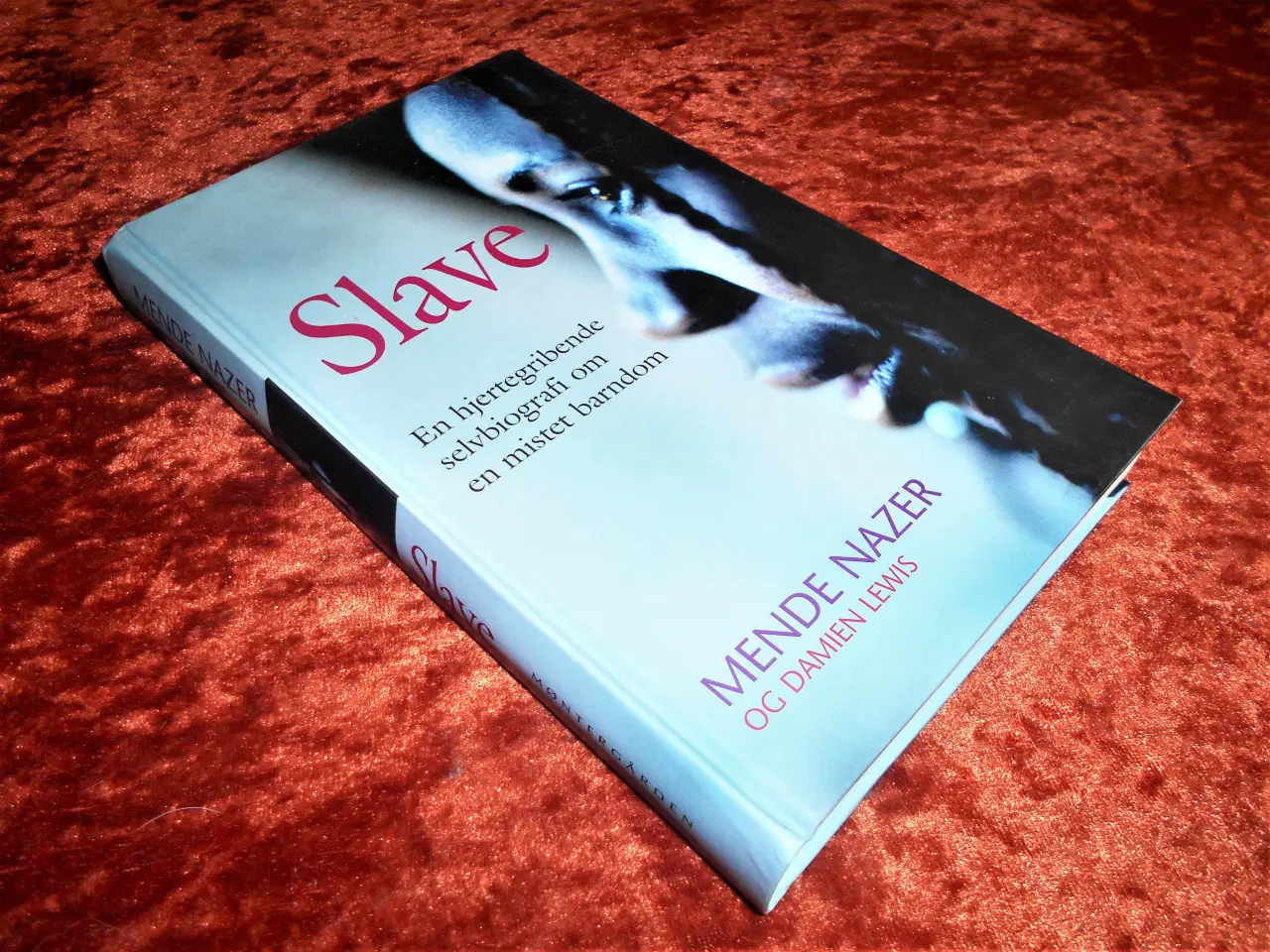 Billede 1 - Slave, Mende Nazer, Damien Lewis, 