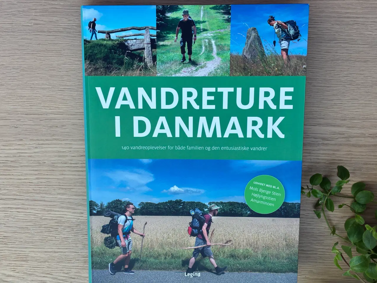Billede 1 - VANDRETURE i DANMARK  -  140 vandreoplevelser