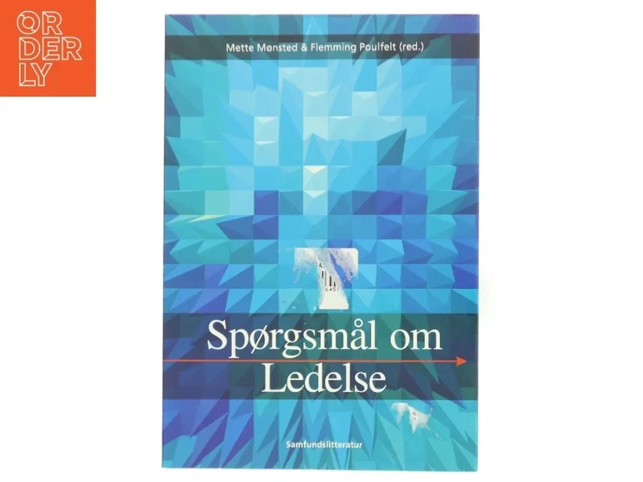 Billede 1 - Spørgsmål om ledelse (Bog)