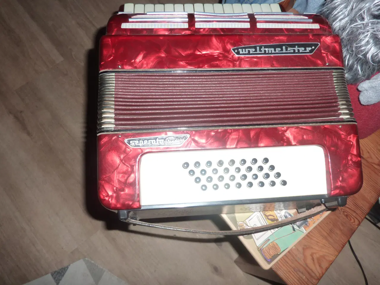 Billede 2 - Weltmeister 