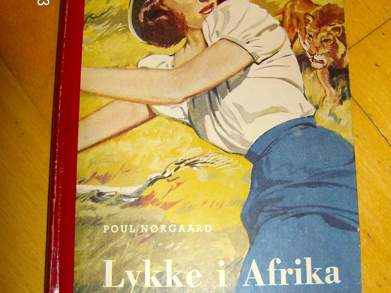 Billede 1 - Lykke i Afrika 