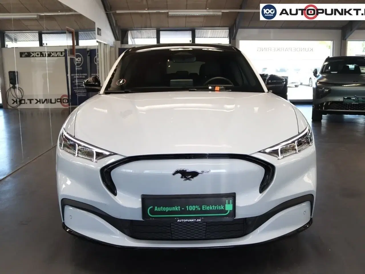 Billede 2 - Ford Mustang Mach-E 70 Standard Range AWD