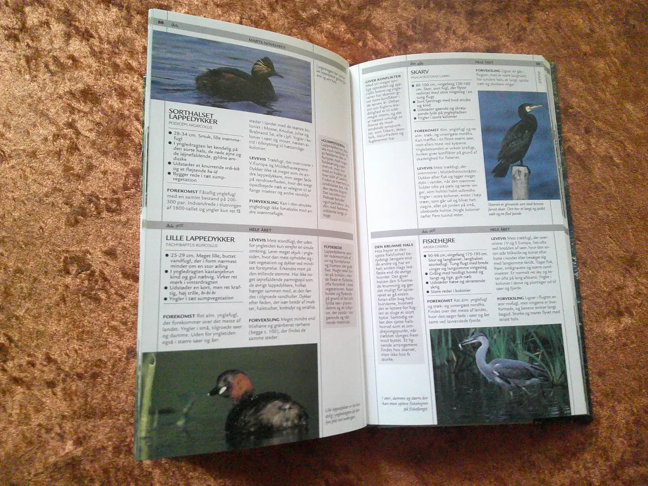 Billede 3 - Søen og åens dyr og planter, Tommy Dybbro