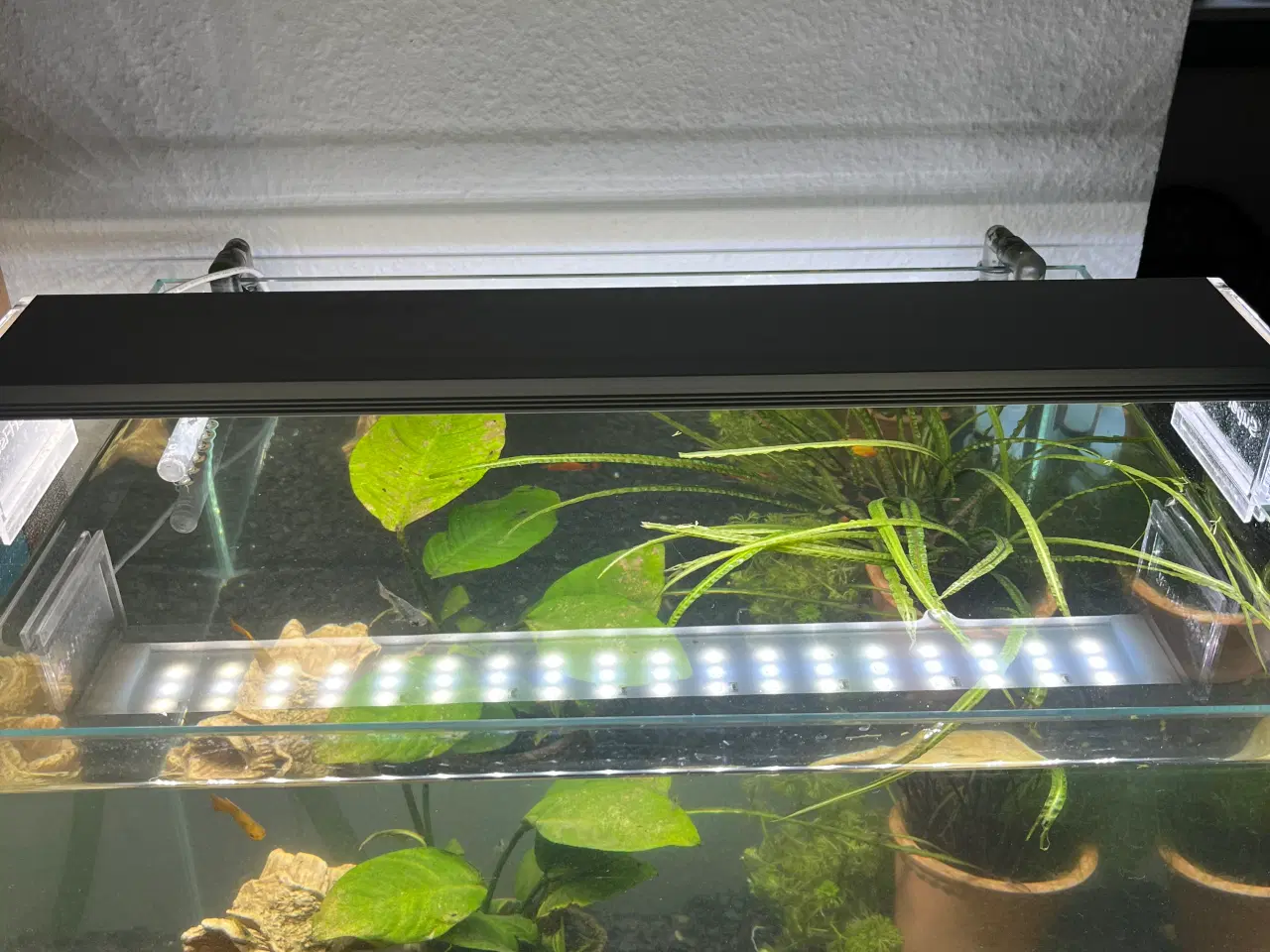 Billede 2 - 60L akvarium med møbel + pumpe 
