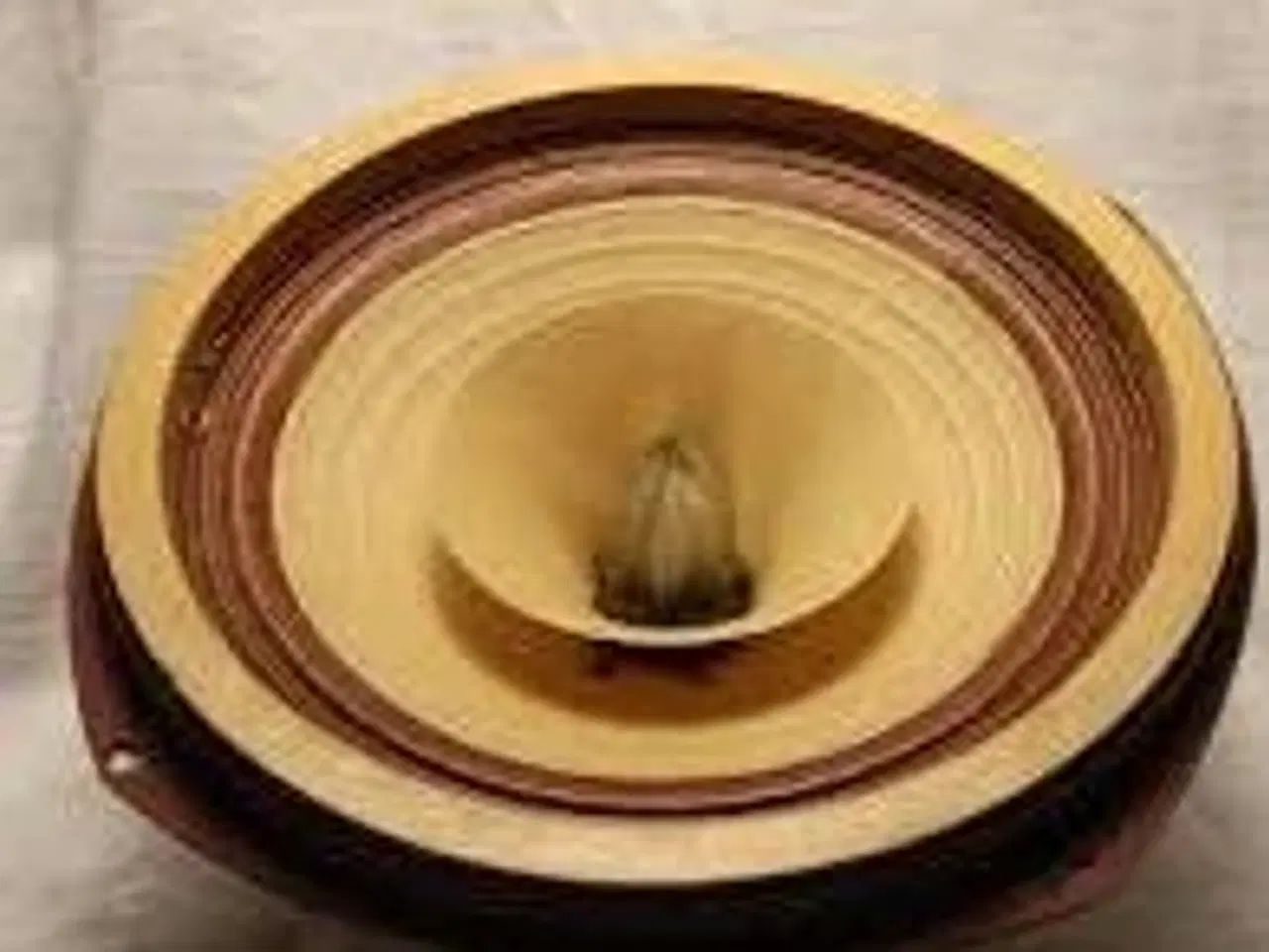 Billede 2 - Søger Coral Beta 8 eller 6 