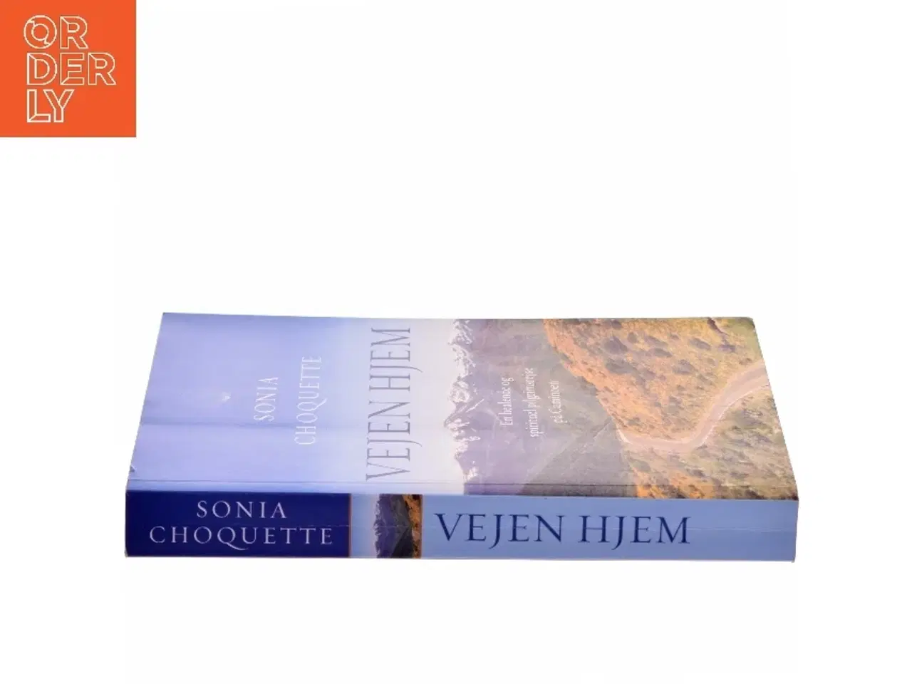 Billede 2 - Vejen hjem : en healende og spirituel pilgrimsrejse på Caminoen af Sonia Choquette (Bog)