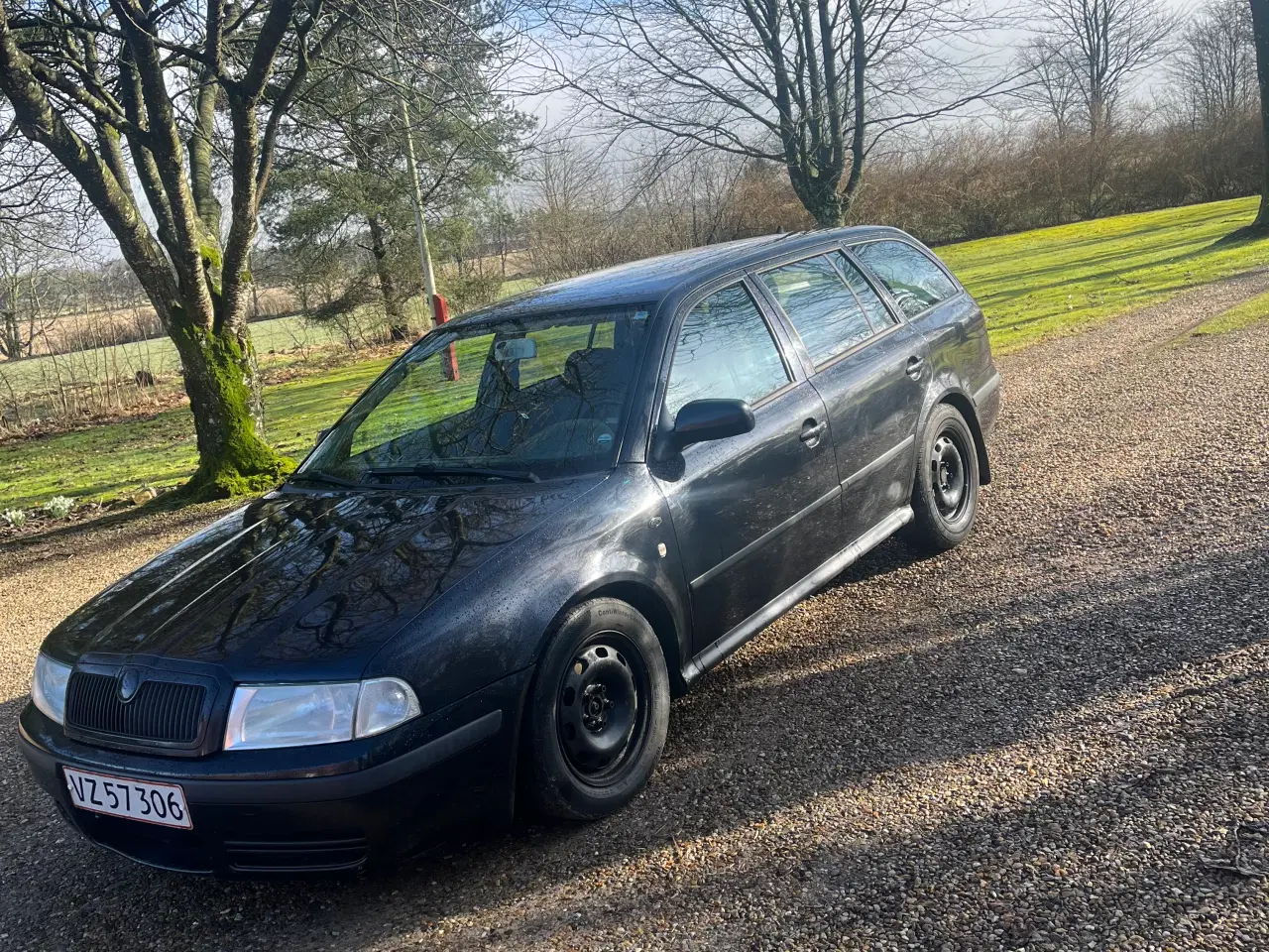 Billede 1 - Skoda Octavia 1,9 tdi