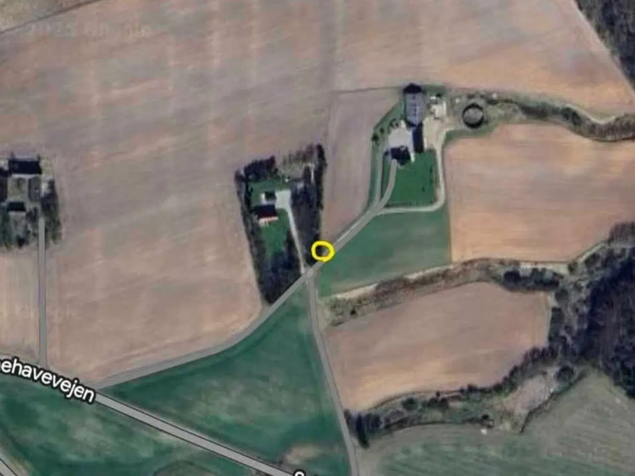 Billede 6 - Vår byg halm - Småballer