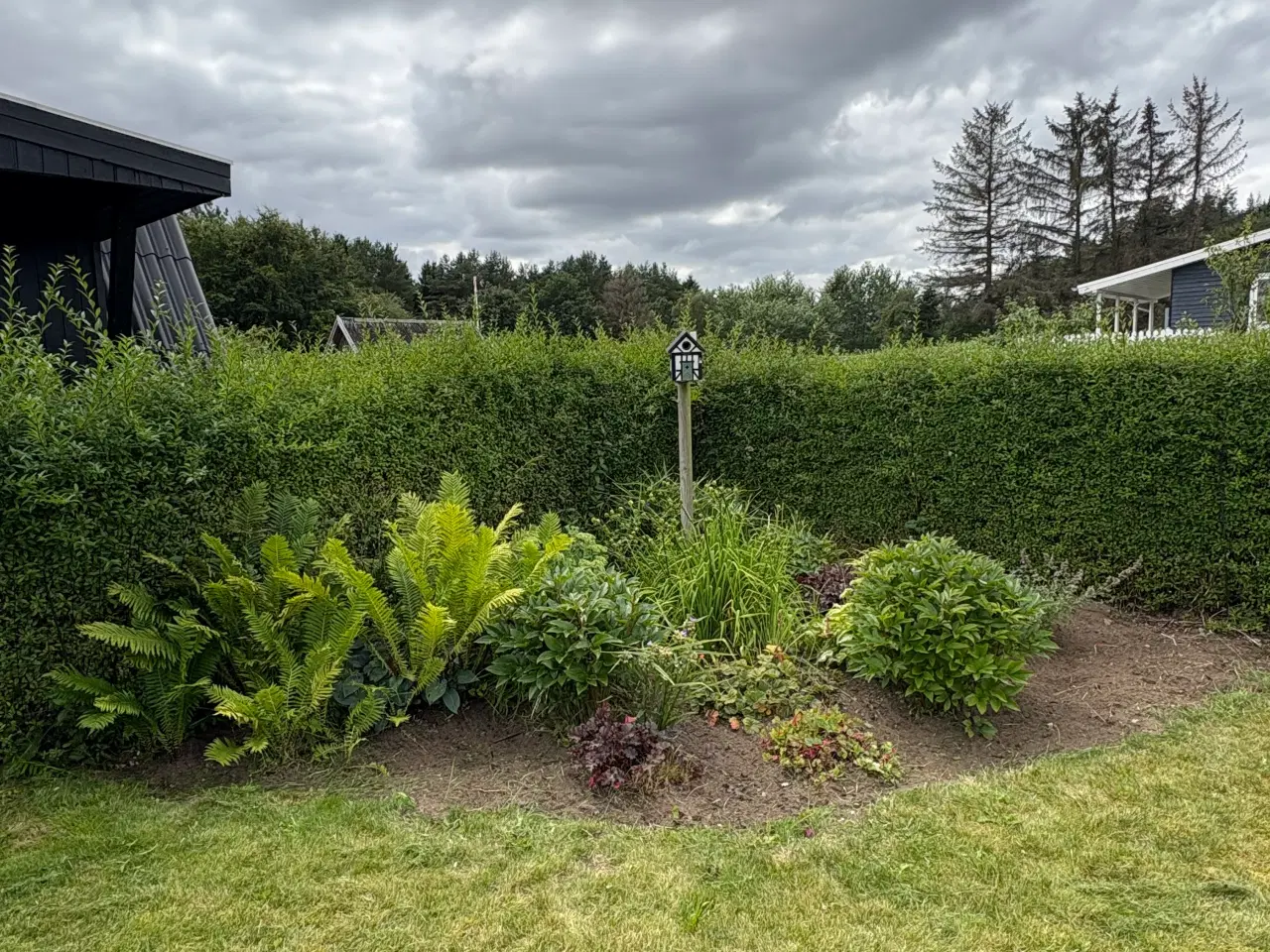 Billede 10 - 🌿 Kolonihave til salg i HF Granholt – Hadsten 🌿