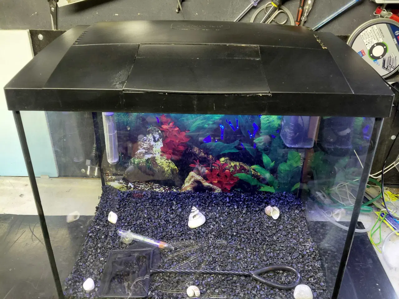 Billede 5 - Akvarier 45L 