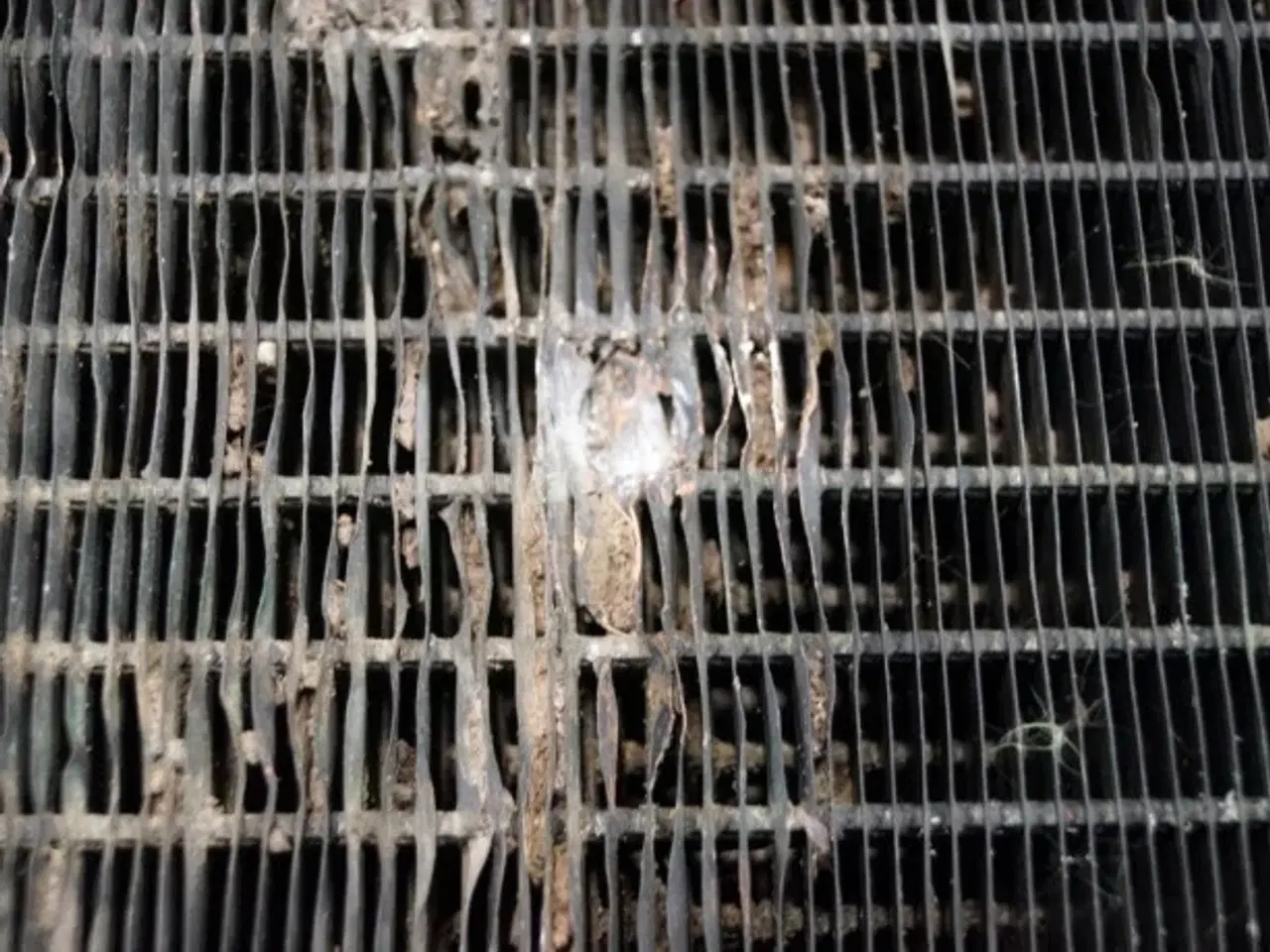 Billede 18 - New Holland G190 Køler 89821595