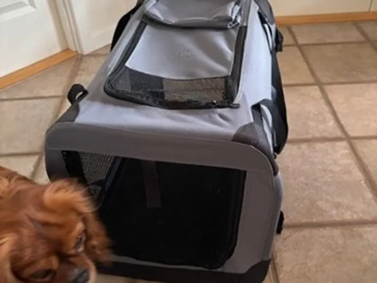 Billede 1 - Hunde Transporttaske 