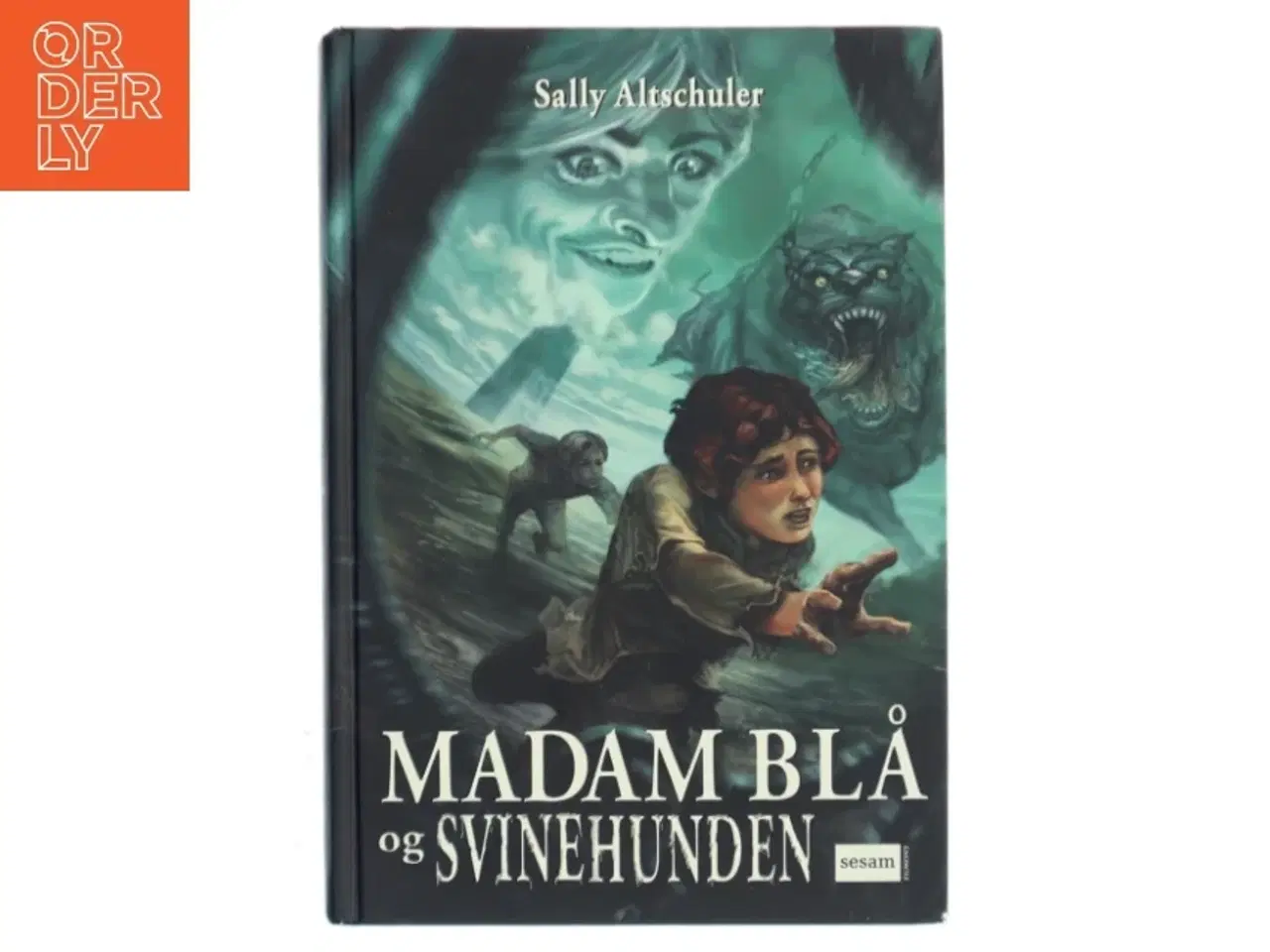 Billede 1 - Madam Blå og Svinehunden af Sally Altschuler (Bog)