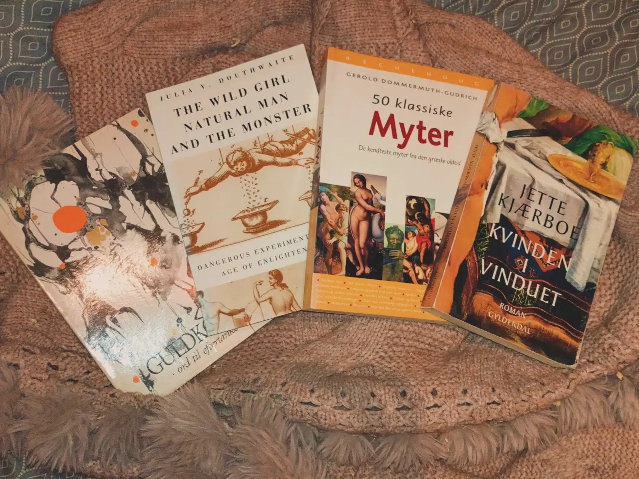 Billede 3 - Søger Lejebolig 