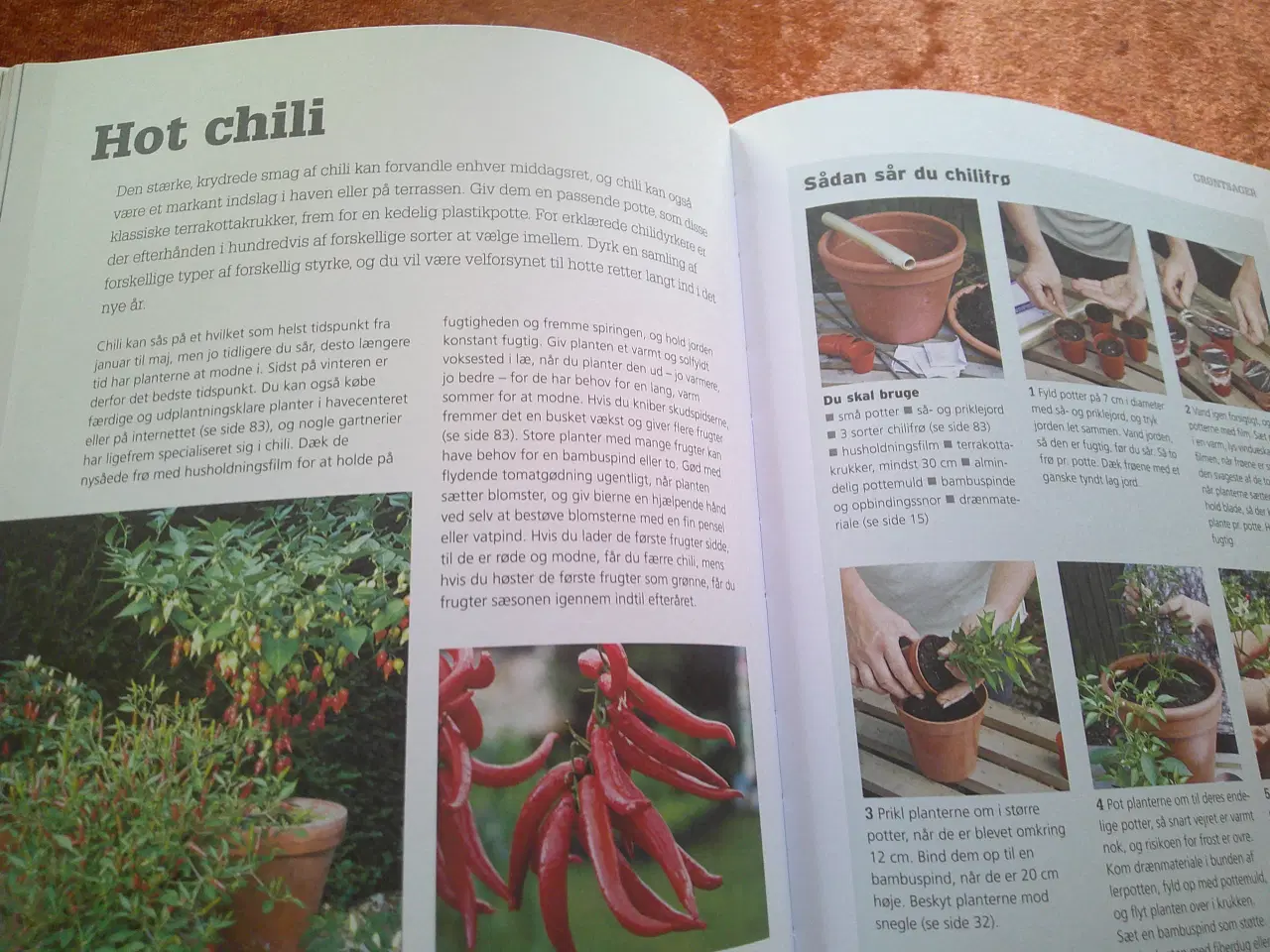 Billede 2 - Dyrk din køkkenhave i krukker, Kay Maguire