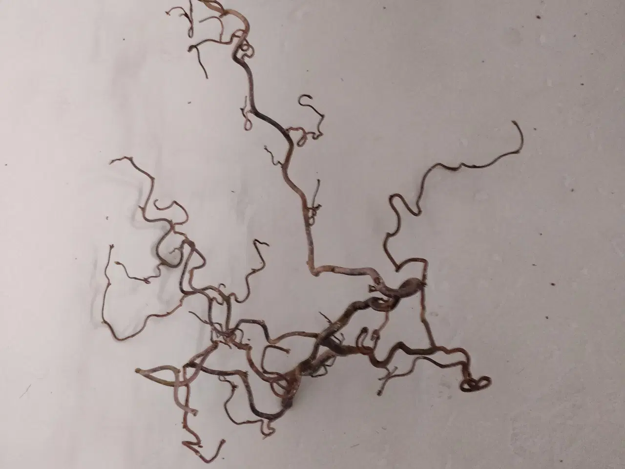 Billede 1 - Troldegren