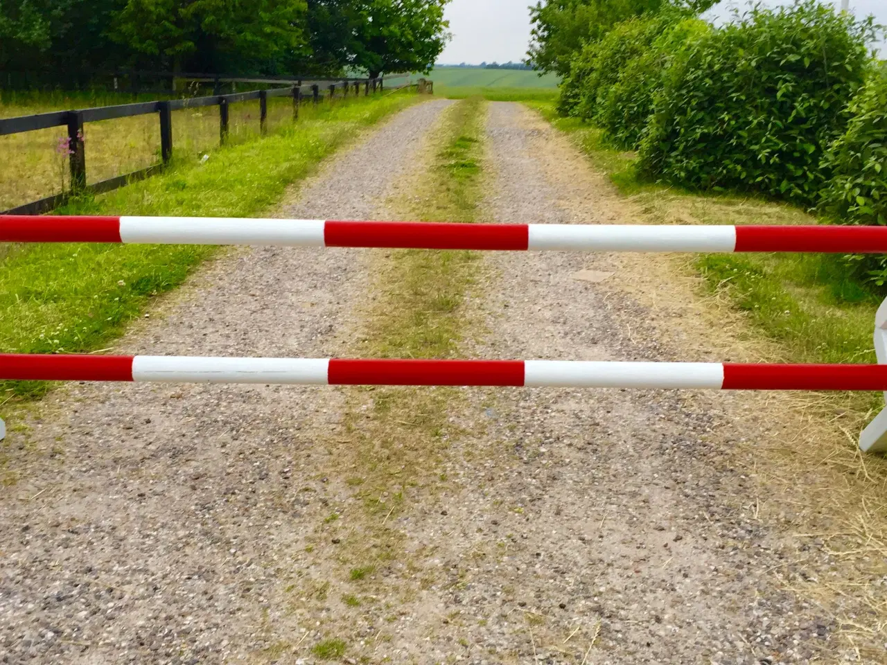 Billede 3 - Nye cavalettis 