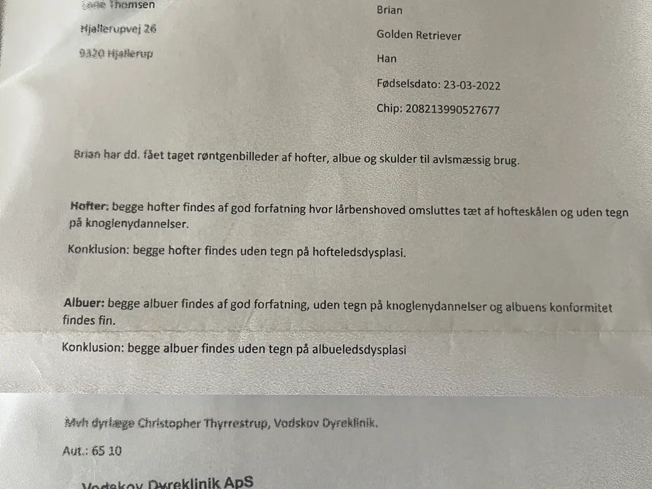 Billede 14 - Brian tilbydes til avl