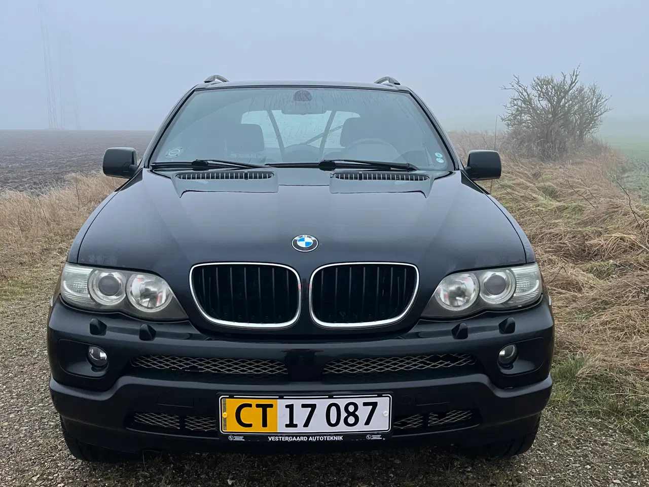 Billede 5 - BMW X5 3,0d Van 