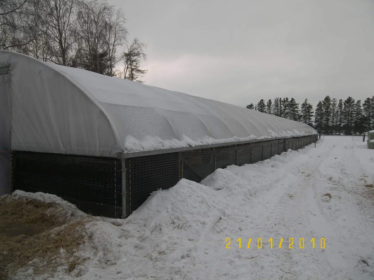 Billede 1 - Mc. Gregor Polytunnel fårestald 