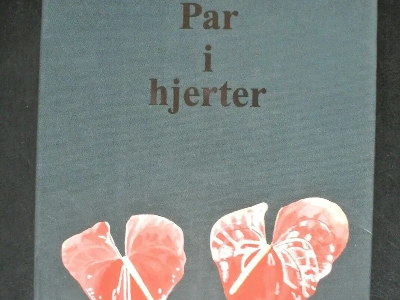 Billede 1 - par i hjerter - om kønnets betydning i parforhold 