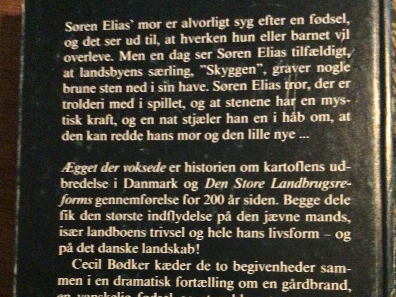 Billede 8 - Cecil Bødker : Silas - se billeder