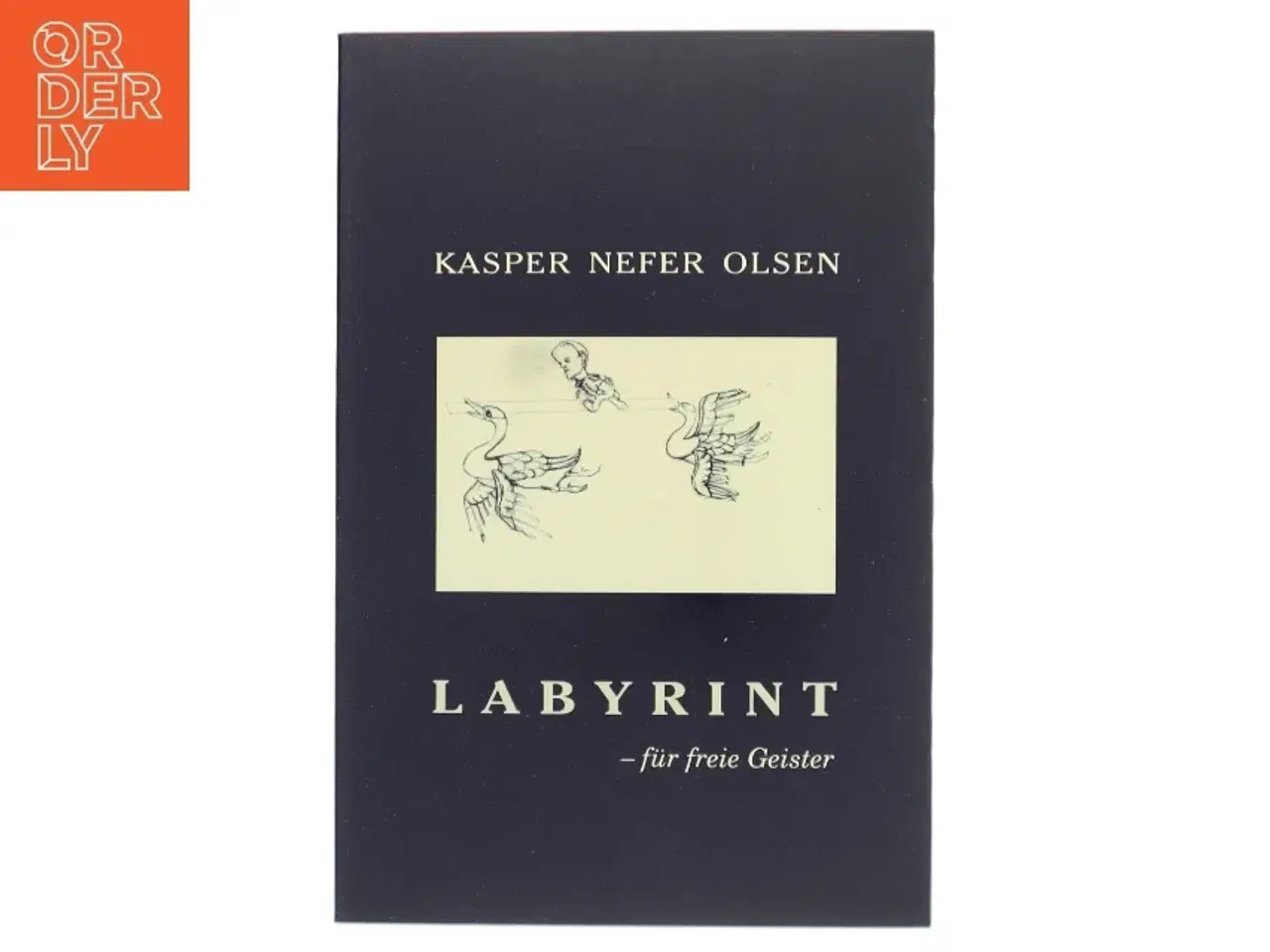 Billede 1 - Labyrint af Kasper Nefer Olsen (Bog)