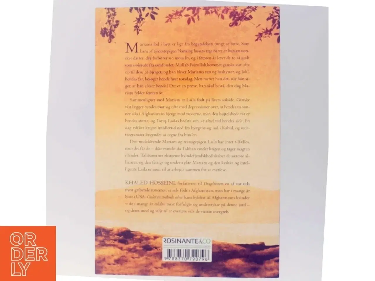 Billede 7 - Under en strålende sol af Khaled Hosseini (Bog)