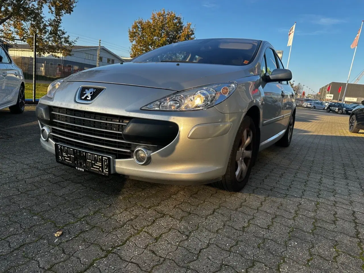 Billede 4 - Peugeot 307 2,0 XS