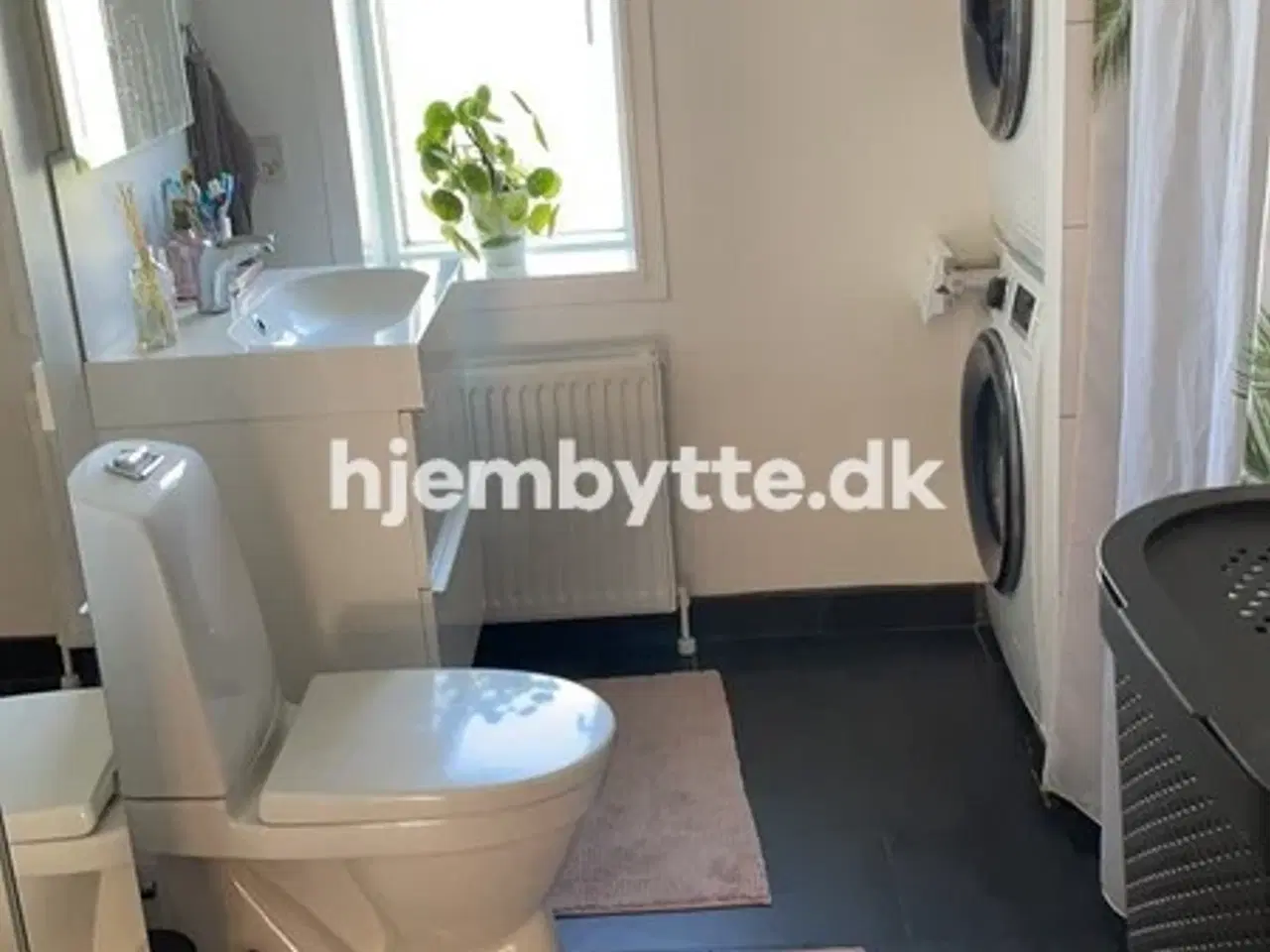 Billede 6 - Hjembytte - Engvej