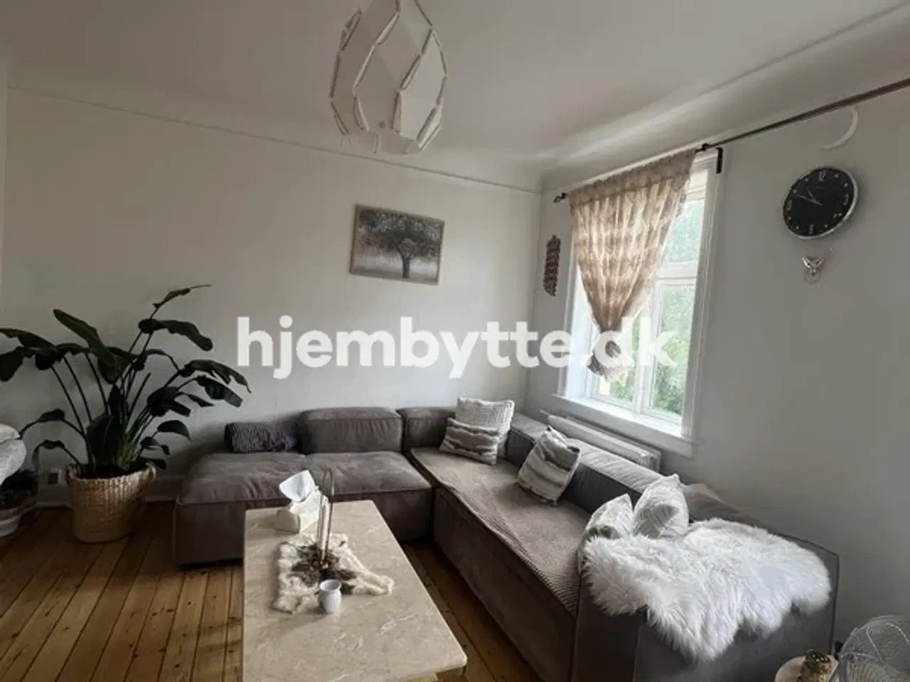 Billede 1 - Hjembytte - OrdrupJagtvej