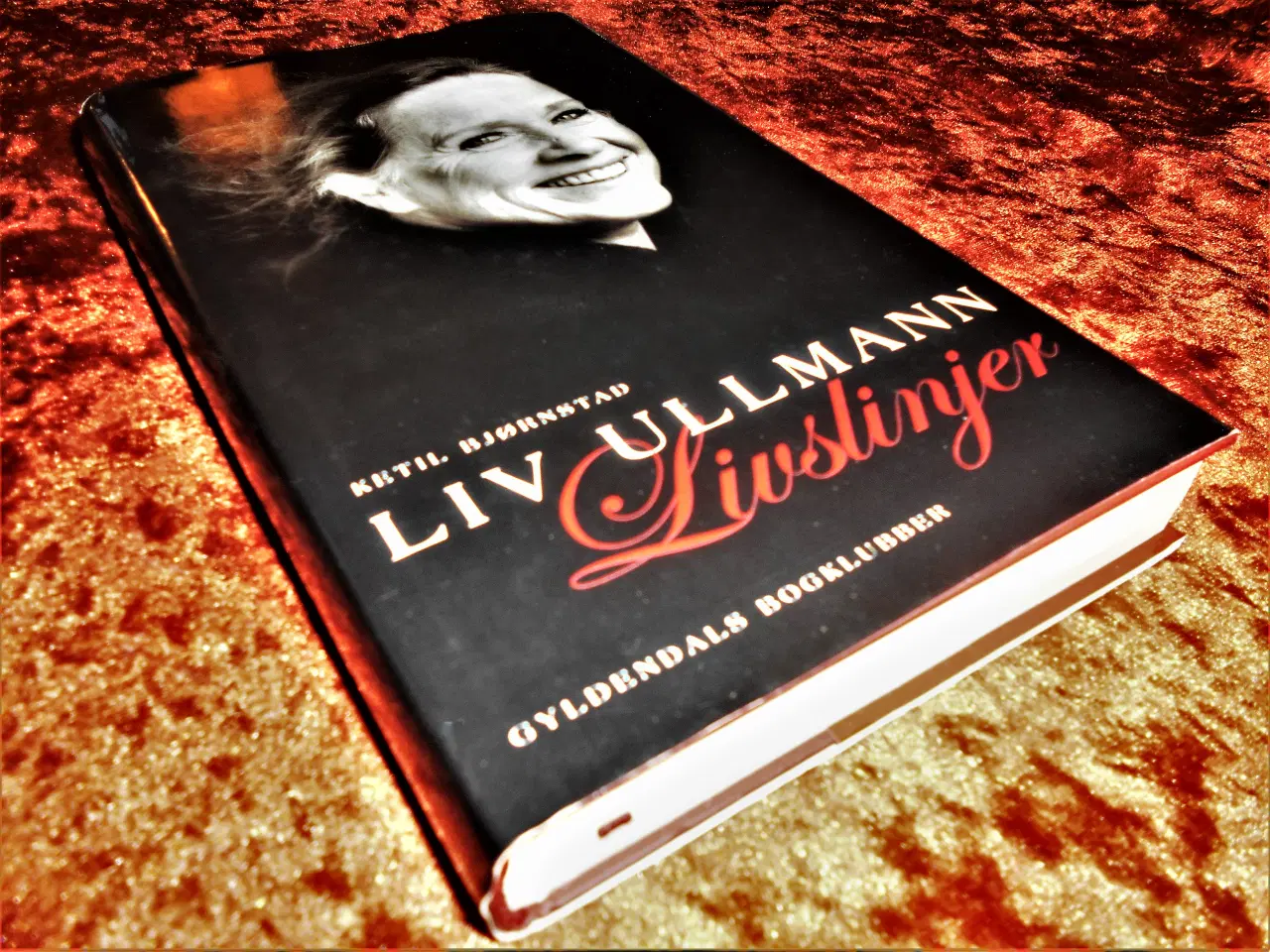 Billede 1 - Liv Ullman, livslinjer, Ketil Bjørnstad