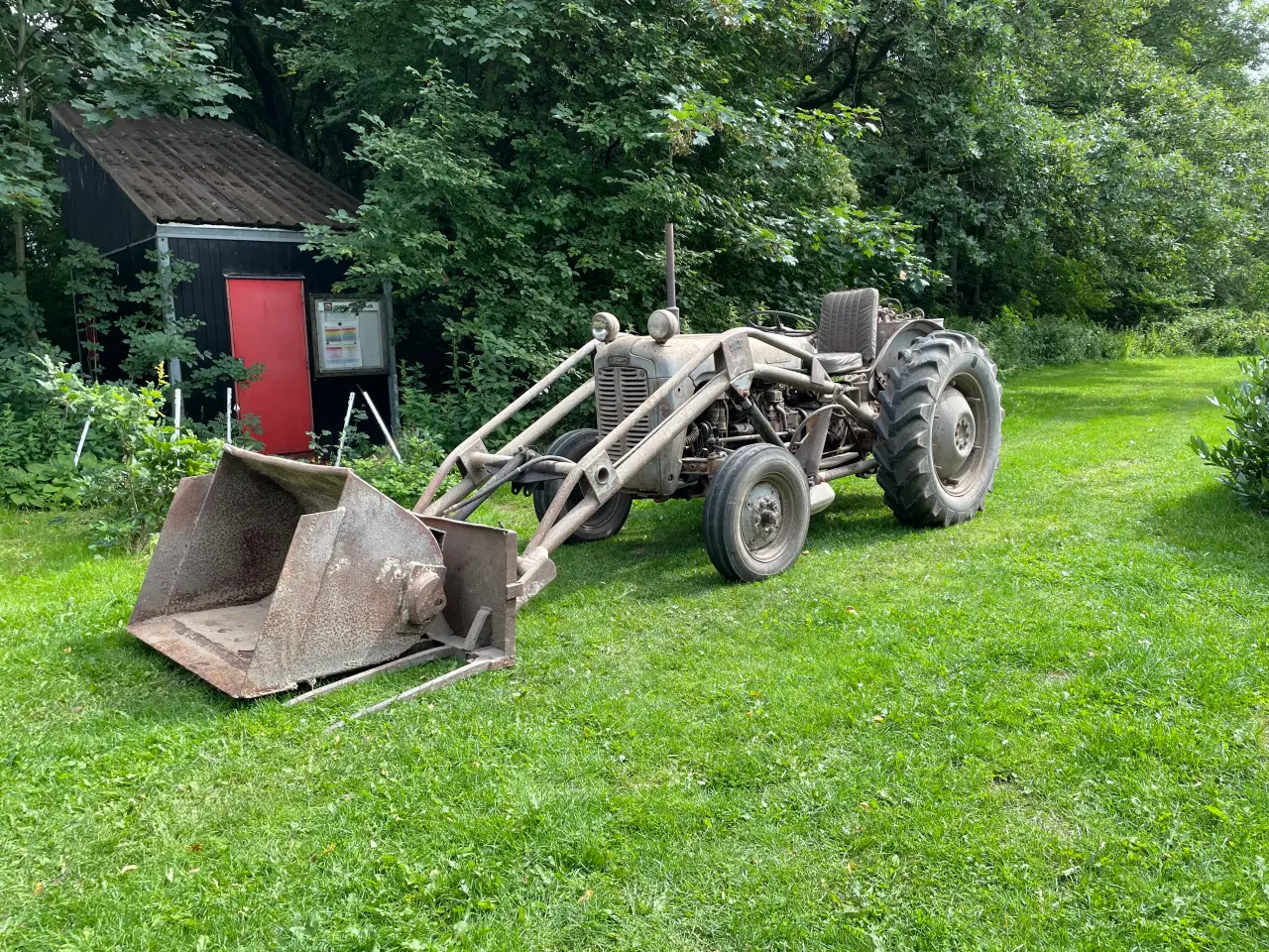 Billede 1 - Massey Ferguson FE 35 Guldfugl