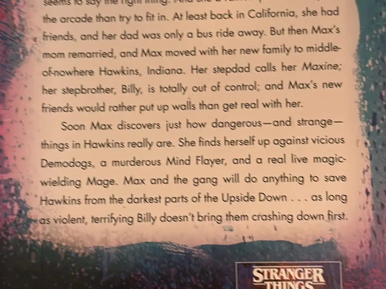 Billede 3 - Stranger things bog