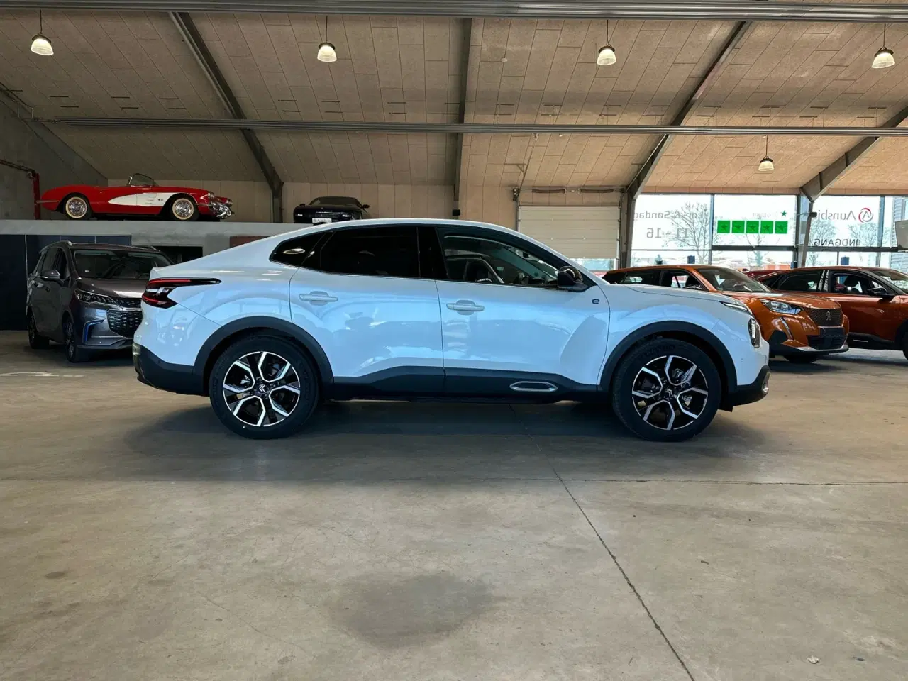 Billede 3 - Citroën ë-C4 X 50 Palais Sky
