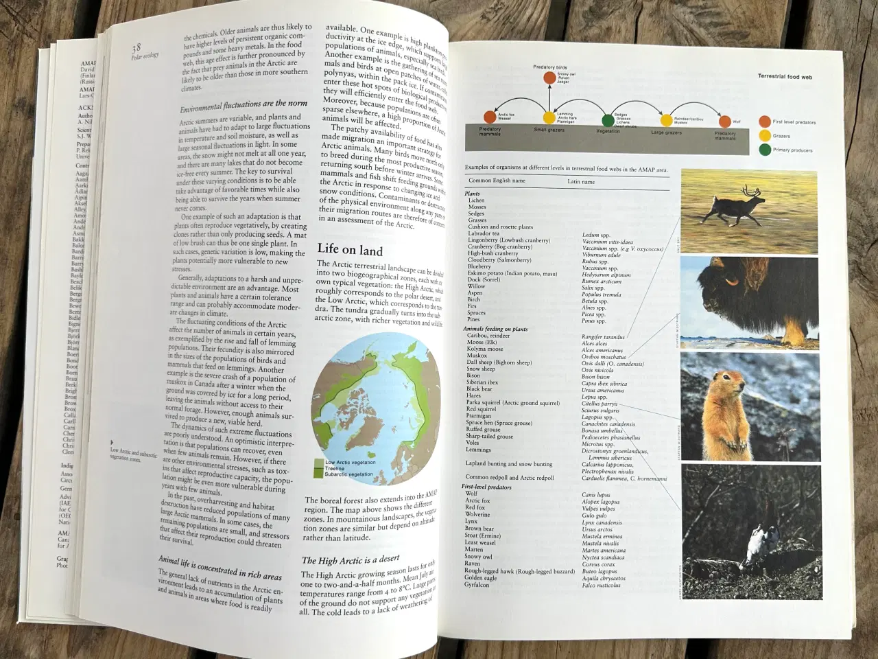 Billede 6 - Artic Pollution Issues