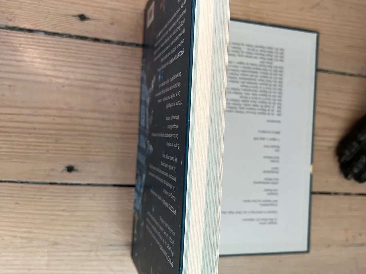 Billede 4 - Sprogets Univers Af Niels Holck