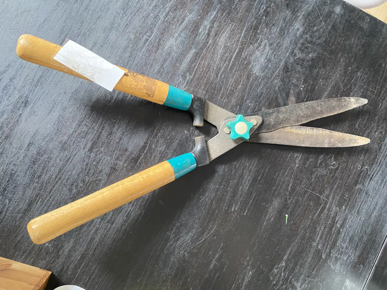 Billede 1 - Hæksaks