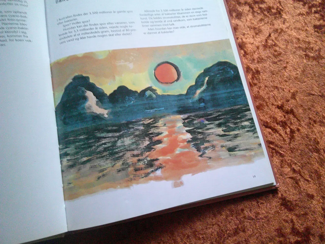 Billede 2 - Bakteriebogen, Karin Bergqvist, Fredrik Lundberg