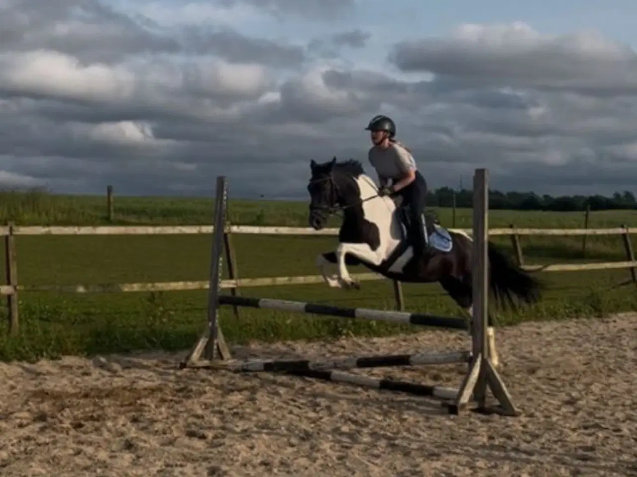 Billede 3 - Dejlig allround pony
