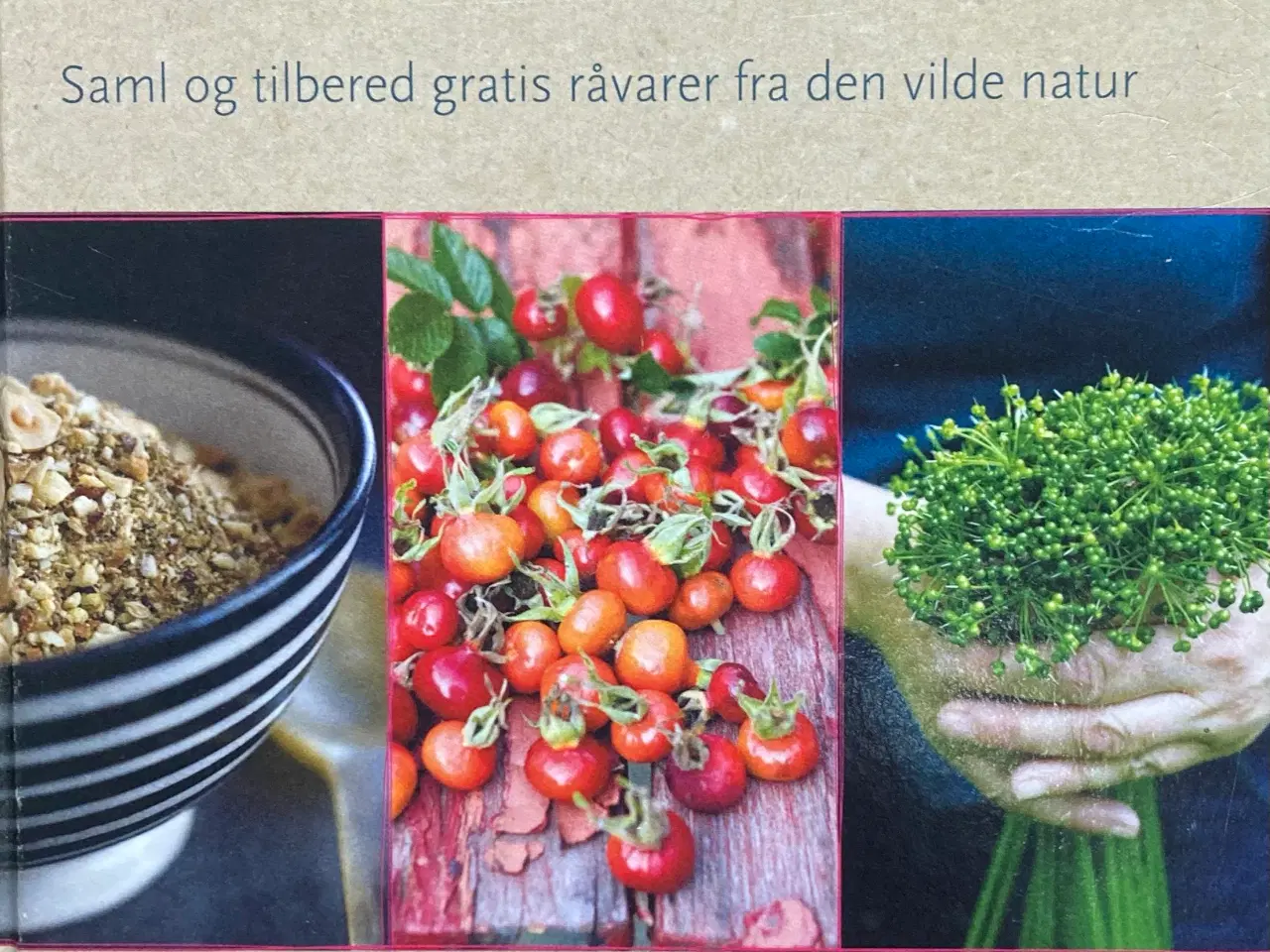 Billede 1 - Naturens spisekammer - gratis mad i naturen
