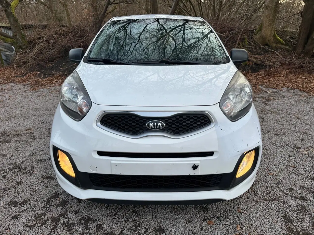 Billede 5 - Kia Picanto 1,0 Active Eco