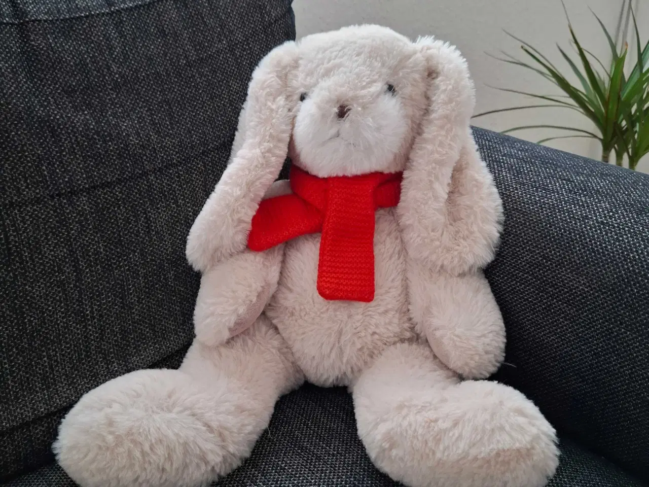 Billede 8 - 10 forskellige bamser